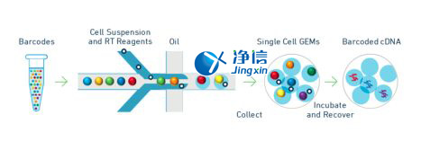 中國人自己的微流控單細(xì)胞測(cè)序儀來了！_微流控Drop-seq,微流控技術(shù)