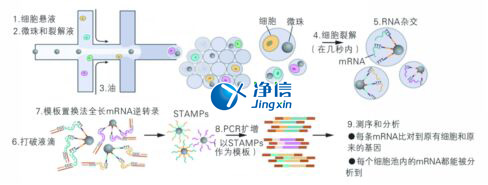 中國人自己的微流控單細(xì)胞測(cè)序儀來了！_微流控Drop-seq